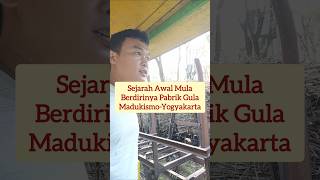 Sejarah awal mula berdirinya pabrik gula Madukismo #trendingshorts #fyp #madukismo #hit #viralvideo