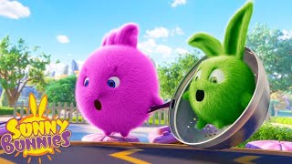 Sunny Bunnies - Hero For A Day Season 2 Compilation Cartoons For Children