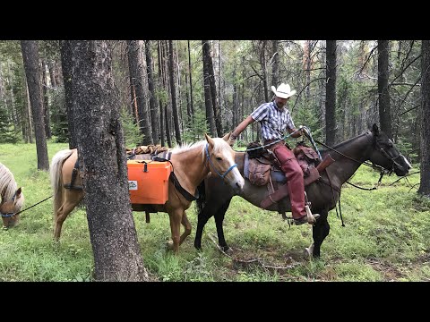 2018 CDT Thru hike ep. 25 part 1 Bob Marshall Wilderness 2018 CDT Thru hike ep. 25 part 1 Bob Marshall Wilderness