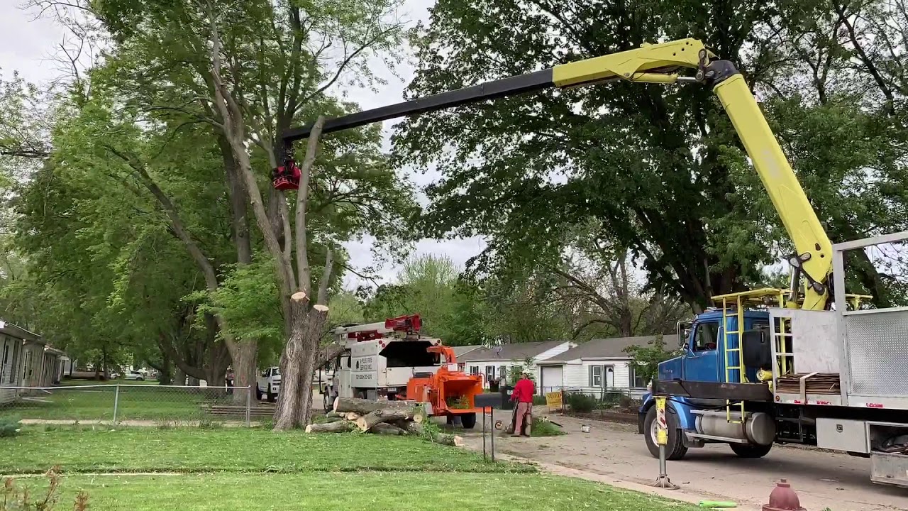 Grapple Saw Truck - Hackberry Removal - YouTube