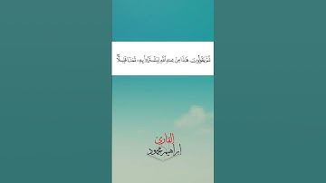 من سورة البقرة بصوت القارئ إبراهيم محمود صفحة 12 |