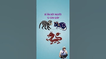 Bí ẩn đời người 12 con giáp #namcanhcam