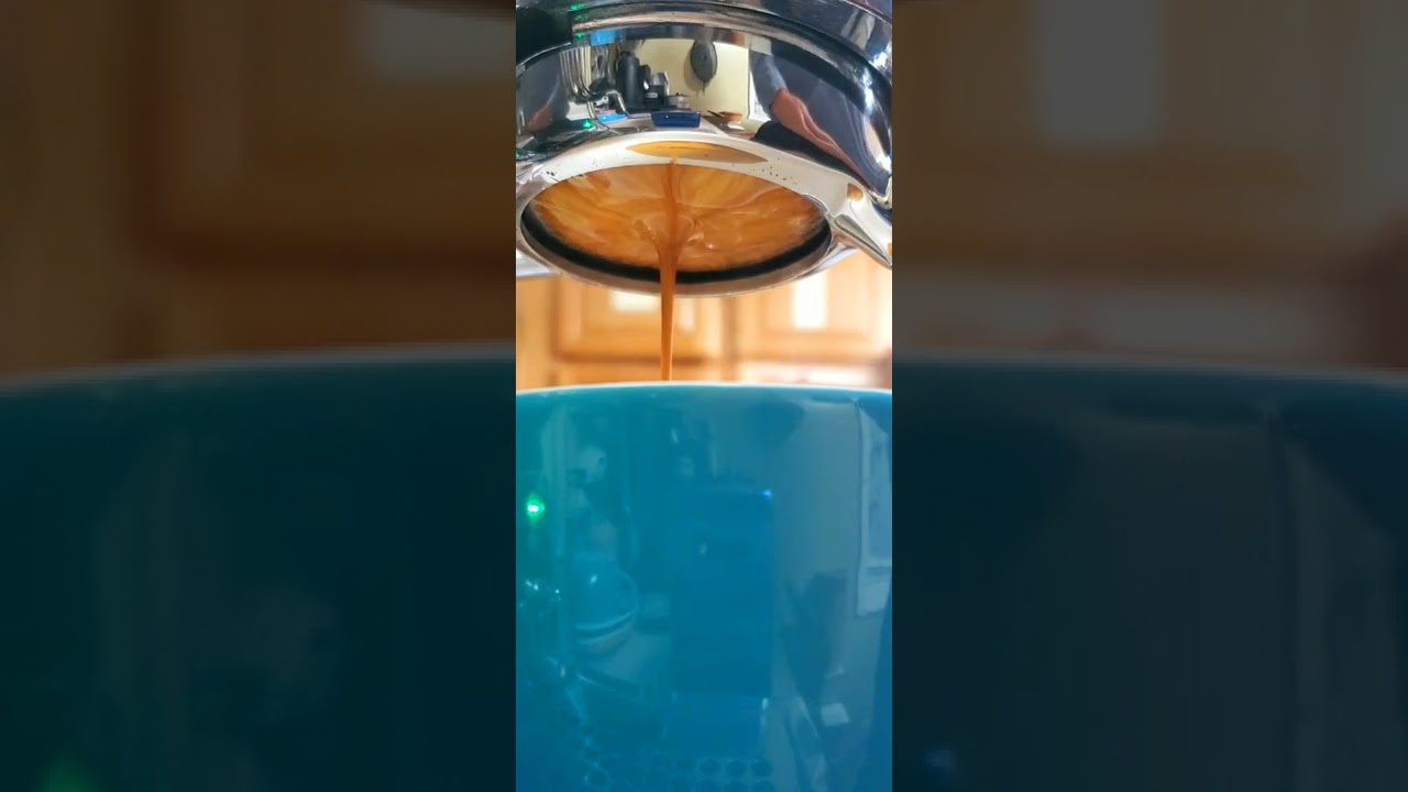 Estas son quizás las mejores tomas de espresso que he dibujado con la nueva herramienta WDT de 0,3 mm.  1 vez usado!