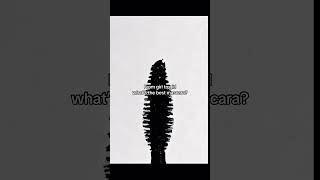 I NEED one for school🫩#mascara #school #recomendation #needmascara #lashes