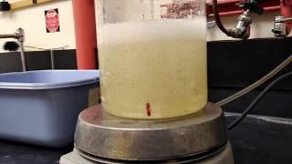Chemical Engineering Crystallization of Sugar