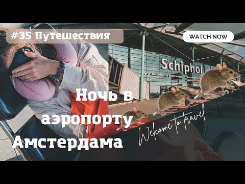 Ночь в аэропорту Амстердама | Где лучше спать и к чему быть готовым |