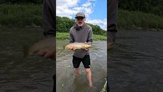 PB BROWN TROUT!! Absolute Monster Caught In Natural Spring River #fishing #troutfishing #outdoors