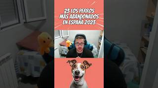 PERROS MÁS ABANDONADOS en ESPAÑA | #curiosidades animales y de perros que no sabías | #23 | #shorts
