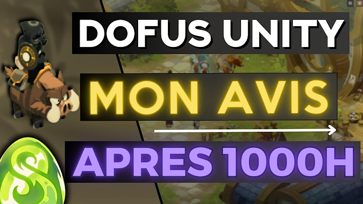 DOFUS UNITY, Mon avis final après 1000H de jeu