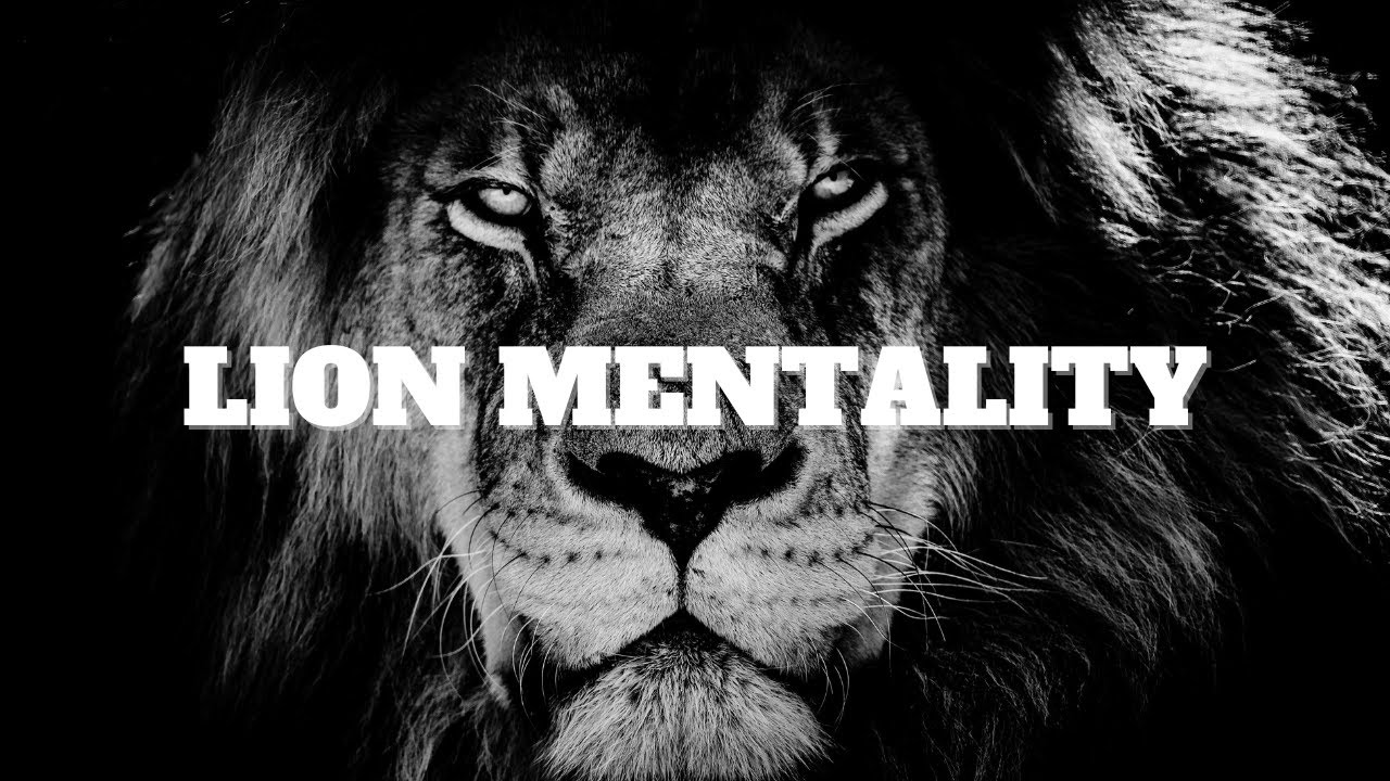 lion-mentality-motivational-speech-youtube