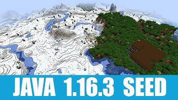 Minecraft Java 1.16.3 Seed: Woodland mansion stands next to snow village and igloo on the river