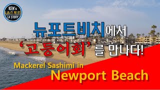 뉴포트비치(Newport Beach)에서 인생 '고등어회'를 만나다!