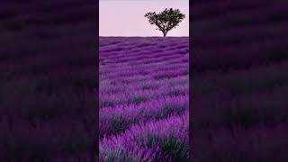 Hayat Bir Masalmışgüzel Sözler Anlamlı Sözler Kısa Sözler Şiirler