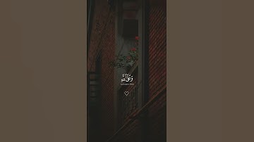 ما تيسر من سورة التوبة آية ٥١ | الشيخ ياسر الدوسري