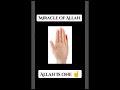 Miracle of allah ☝️🥰