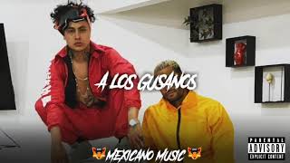 Colocho  Y Su Eminencia - A Los Gusanos | CORRIDOS 2019 chords