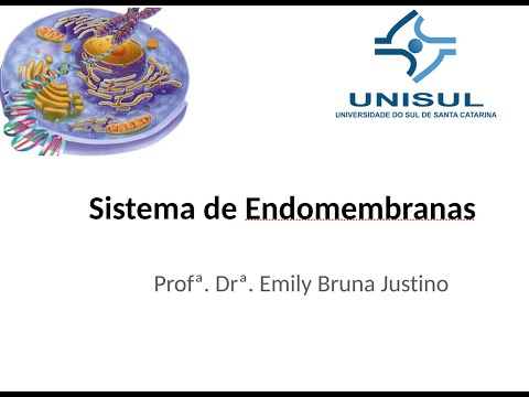 Vídeo: Como funciona o sistema de endomembrana?