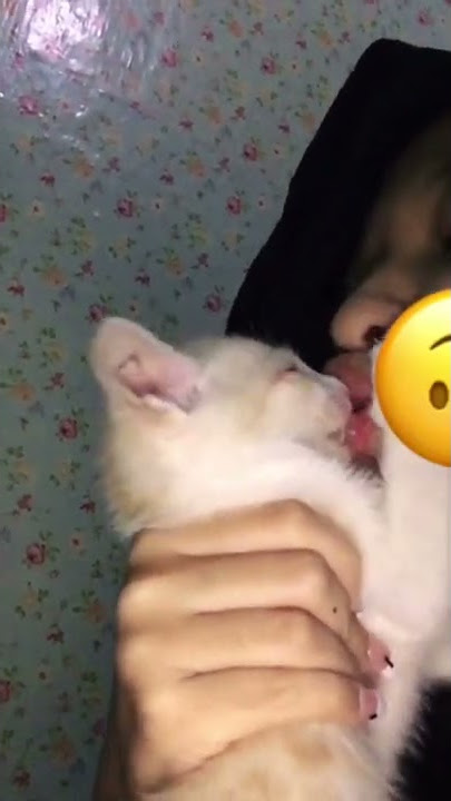 Ciuman Sama kucing 😥 #videosingkat