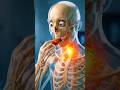 Foods That Trigger Asthma &amp; Allergies – What to Avoid #shorts #youtubeshorts  #asthma