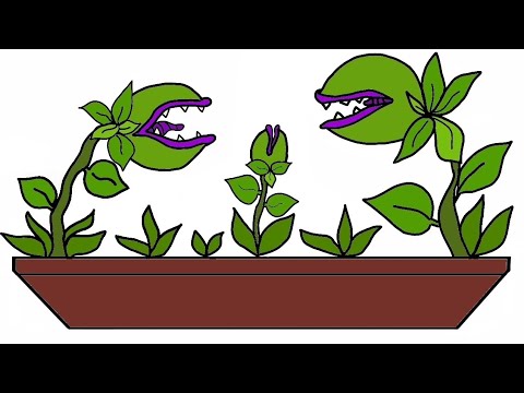 Desenhando - PLANTAS CARNÍVORAS E CACTOS!!🌵 Como desenhar uma planta  carnívora e um cacto. - thptnganamst.edu.vn