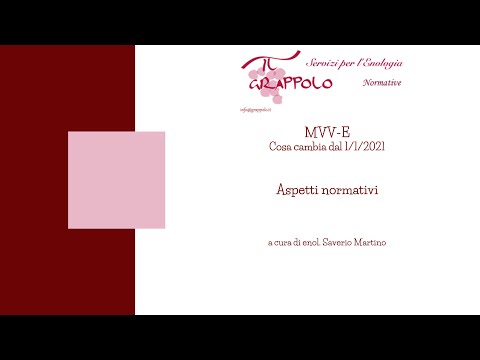 MVV-E obbligatorio dal 1 1 2021