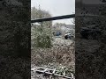 Снег, не Северус Снег, просто снег