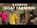 A POTENTIAL GOAT FARMER IN RURAL ST.ANDREW JAMAICA| GOAT REARING IN LAWRENCE STAVERN