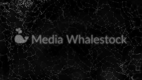 Abstract plexus structure of many glowing connected lines and particles. Animation. Creative