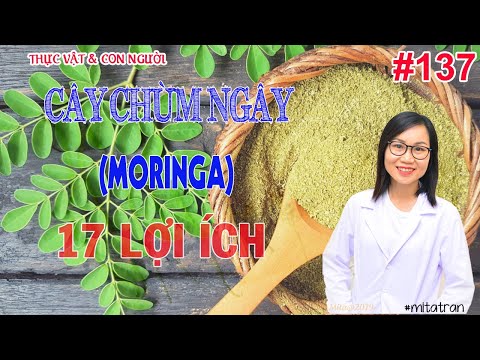 Video: Về Lợi ích Của Ngày