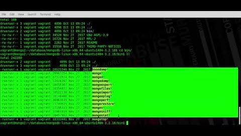 Install MongoDB Tarball on Ubuntu / Debian servers
