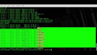 Install MongoDB Tarball on Ubuntu / Debian servers
