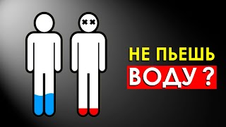 Что Будет с Организмом, Если Не Пить Воду Целый День?