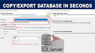 How to Copy All Data from one Database to another Database in SQL Server in Seconds