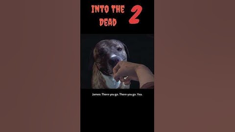 Into The Dead 2 @gaming_ak12