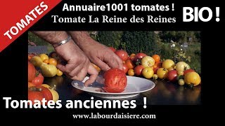 Tomate.9.Fruits Insolites.Du Bio ! De la Nature ! Du Gout ! Des Couleurs! Jardin ! Reine.