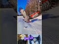 شاہین خطرناک ویڈیو       