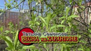 #СтихиПротивВируса Весна на карантине