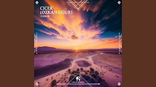 Cicek (Ozkan Ugur)