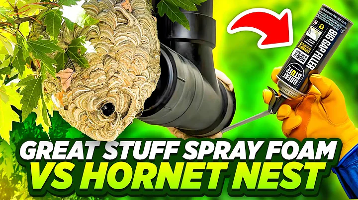 Great stuff spray foam vs bald face hornet nest (can spray foam stop the swarm)