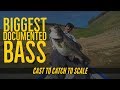Biggest Bass Ever Documented on Video Cast to Catch to SCALE
