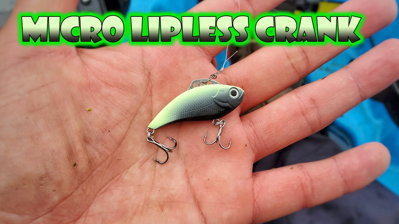 Fall Fishing with Micro Lipless Crankbait Eurotackle Z-Viber 