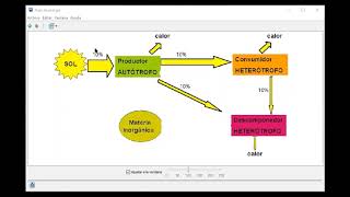 Flujo de energía, ciclo de materia y Pirámides tróficas