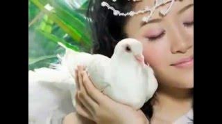 negri di awan - kla project