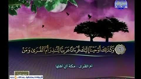 سورة فصلت 47 الى الشورى 26 ـــ مفتاح السلطنى