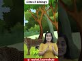 Biological classification with Roshni Mam | Class 11 One shots | Quick revision - Best concepts