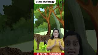 Biological classification with Roshni Mam | Class 11 One shots | Quick revision - Best concepts