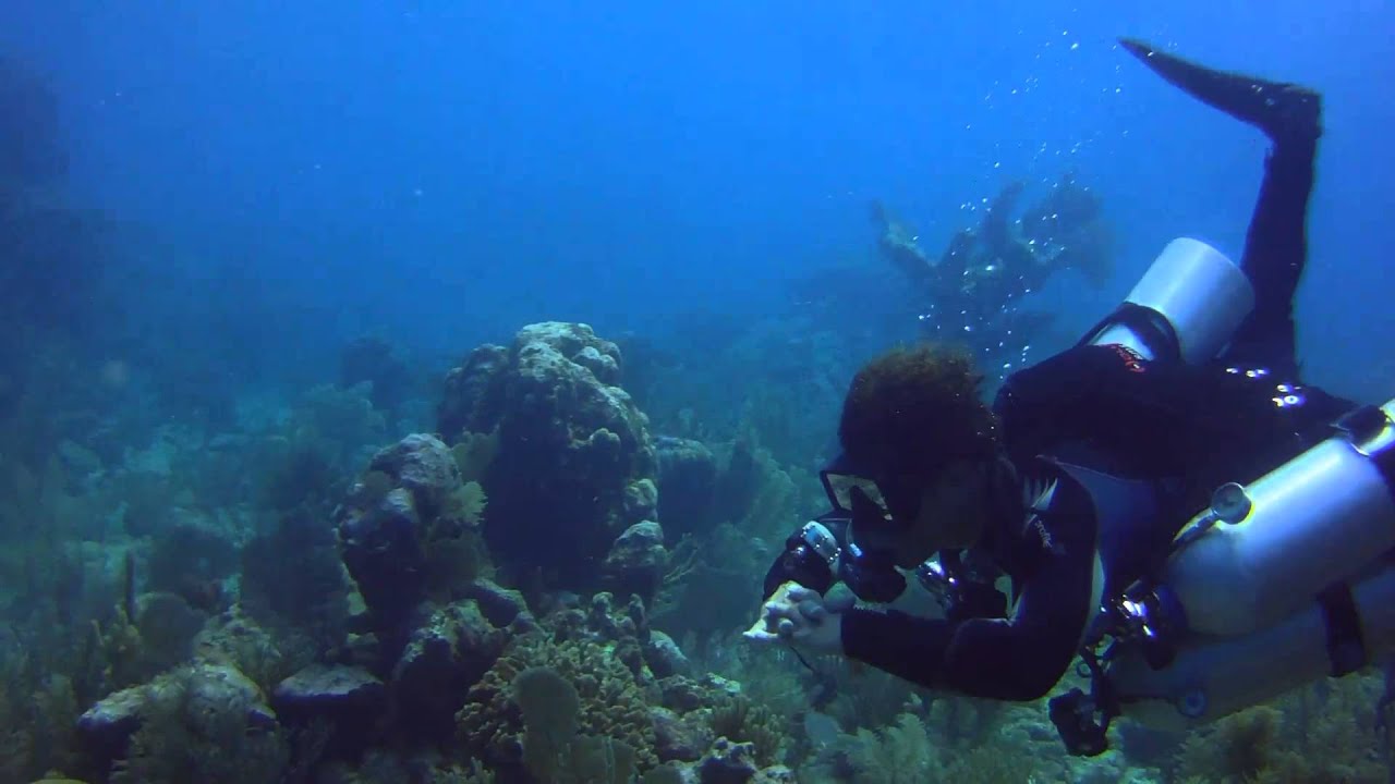 Double tank open water side mount + stage Tony October 12th 2013