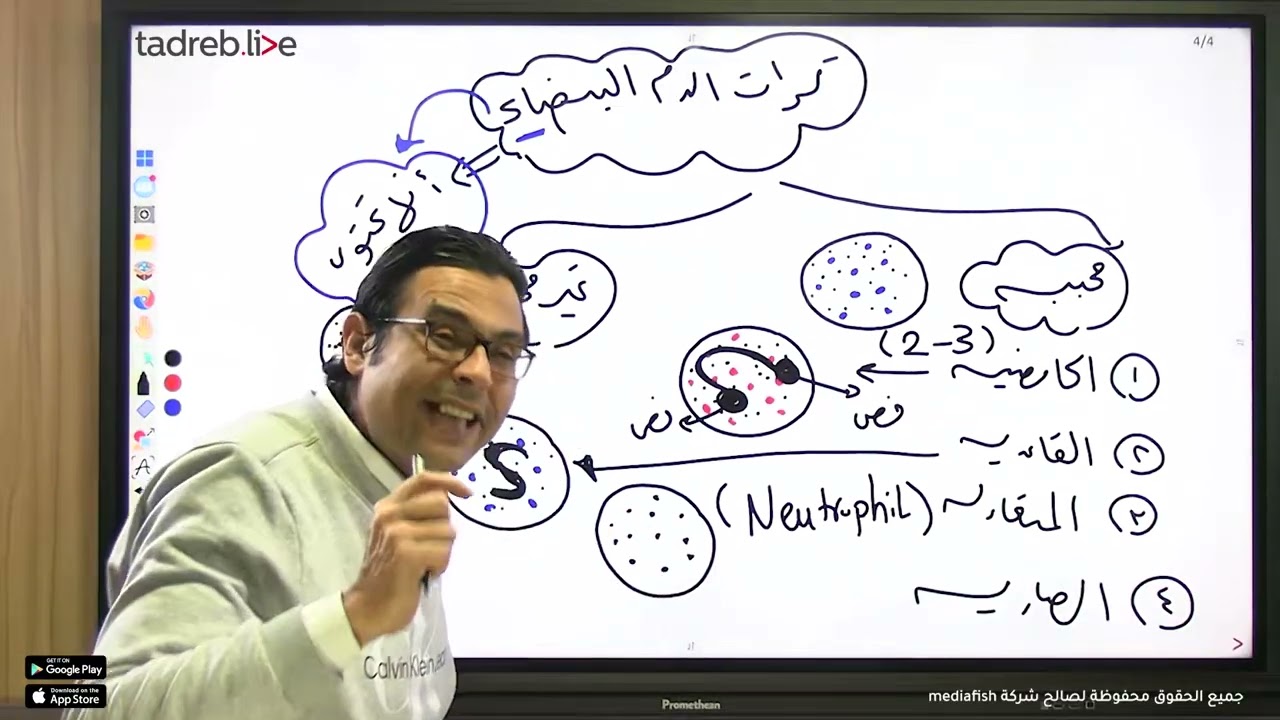 شرح الخلايا المناعيه في الانسان