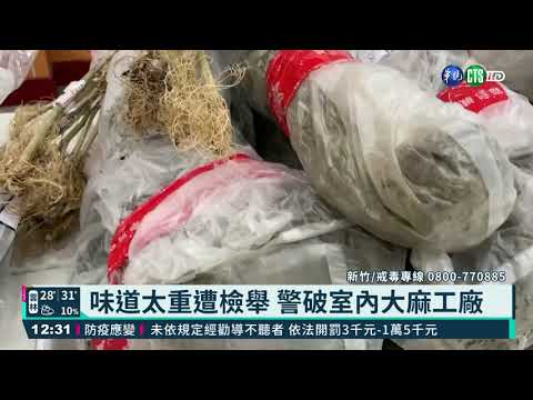 新竹破室內大麻工廠 市價近5億元｜華視新聞 20210507