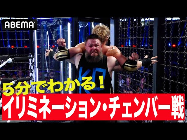 WWEビギナー必見！これがイリミネーション・チェンバー戦だ！檻の中で
